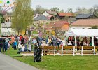 Michal Sláma : Pouť Doubravy - 26.4.2015